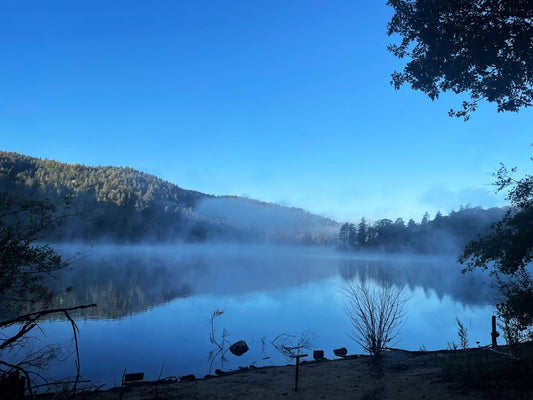 Decoupling From Stress